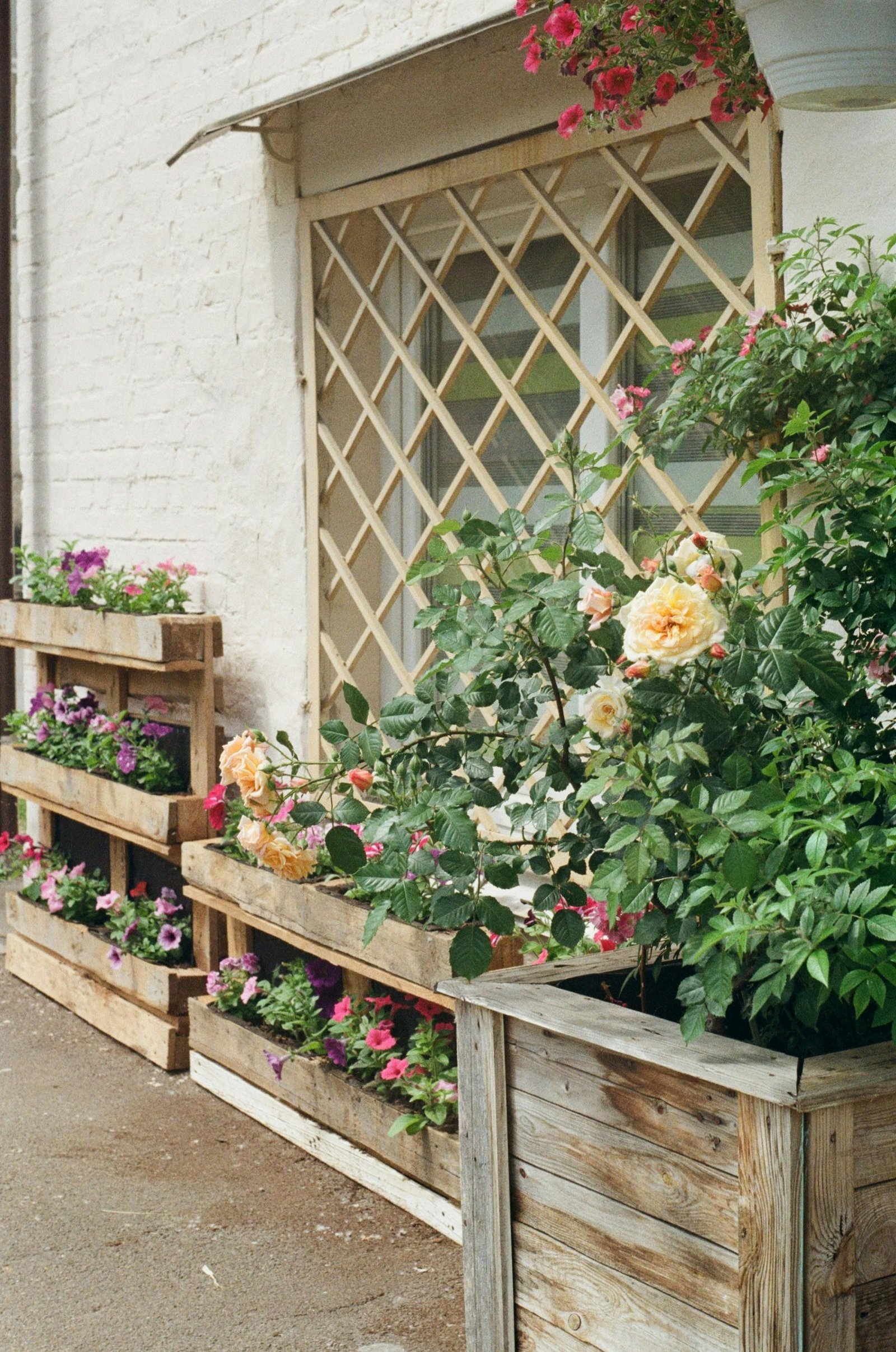 USA garden beds in action as a sustainable look